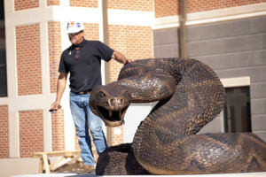 Forty-two-foot Bronze Rattler Installed In Front of FAMU’s CASS Building