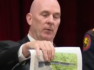 Man Kills Entire Family in Tragic Inheritance Murder-Suicide (Video)